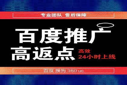 案例剖析：百度SEO推广公司如何助力企业飞速发展